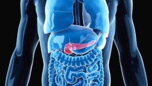 Pancreas stampato in 3D: svolta epocale contro il diabete, primi test superati