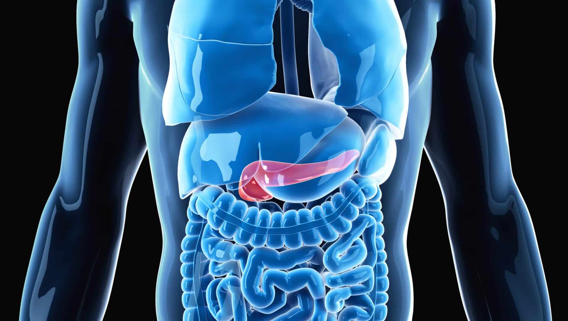 Svolta nel 3D bioprinting: cellule pancreatiche stampate per curare il diabete