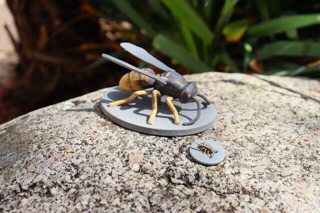 Insetti 3D stampati per studiare il mimetismo: predatori e limiti evolutivi